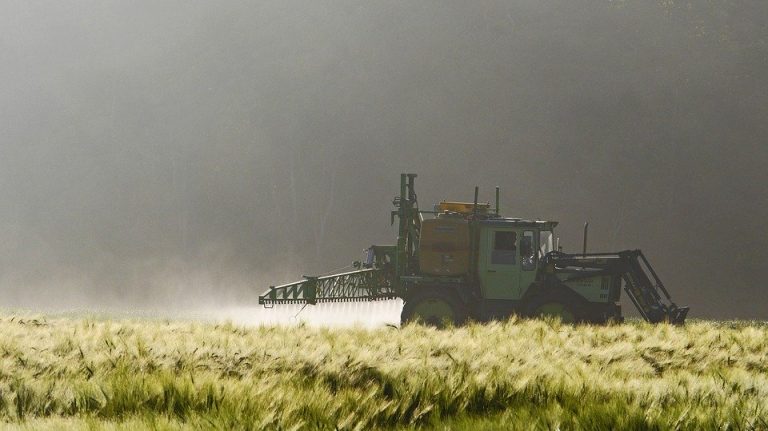 Confédération paysanne pesticides chlordécone duplomb