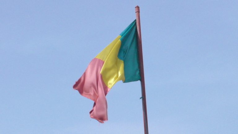 drapeau mali