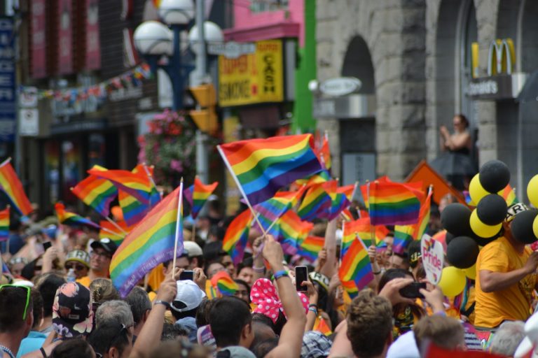 gay gay pride pride parade pride rainbow flag human relationship 605513