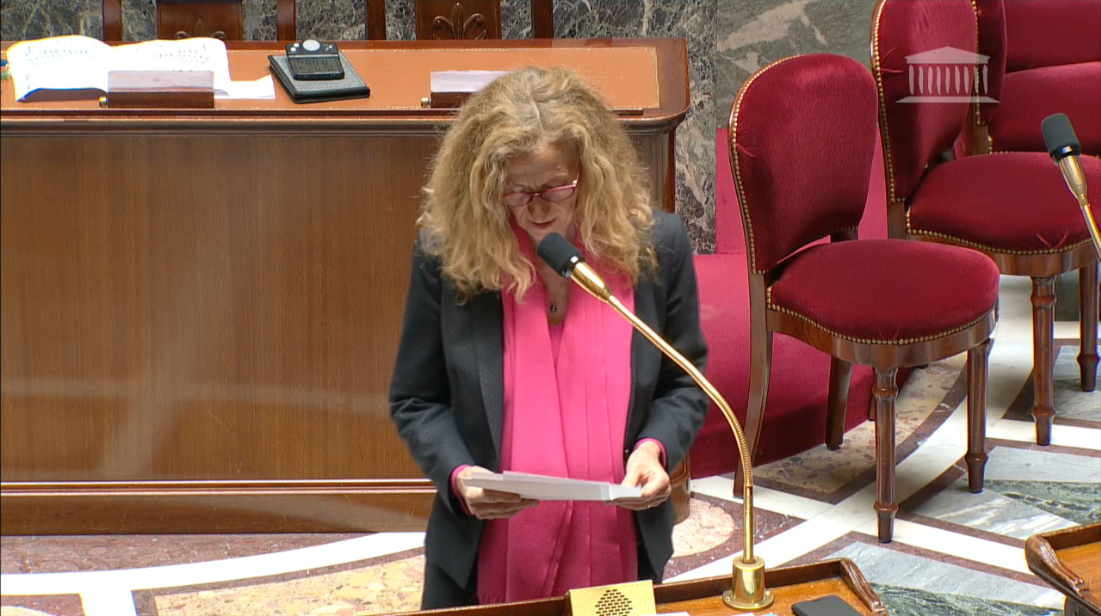 Nicole Belloubet lors du vote de la loi Avia (images Assemblée Nationale)