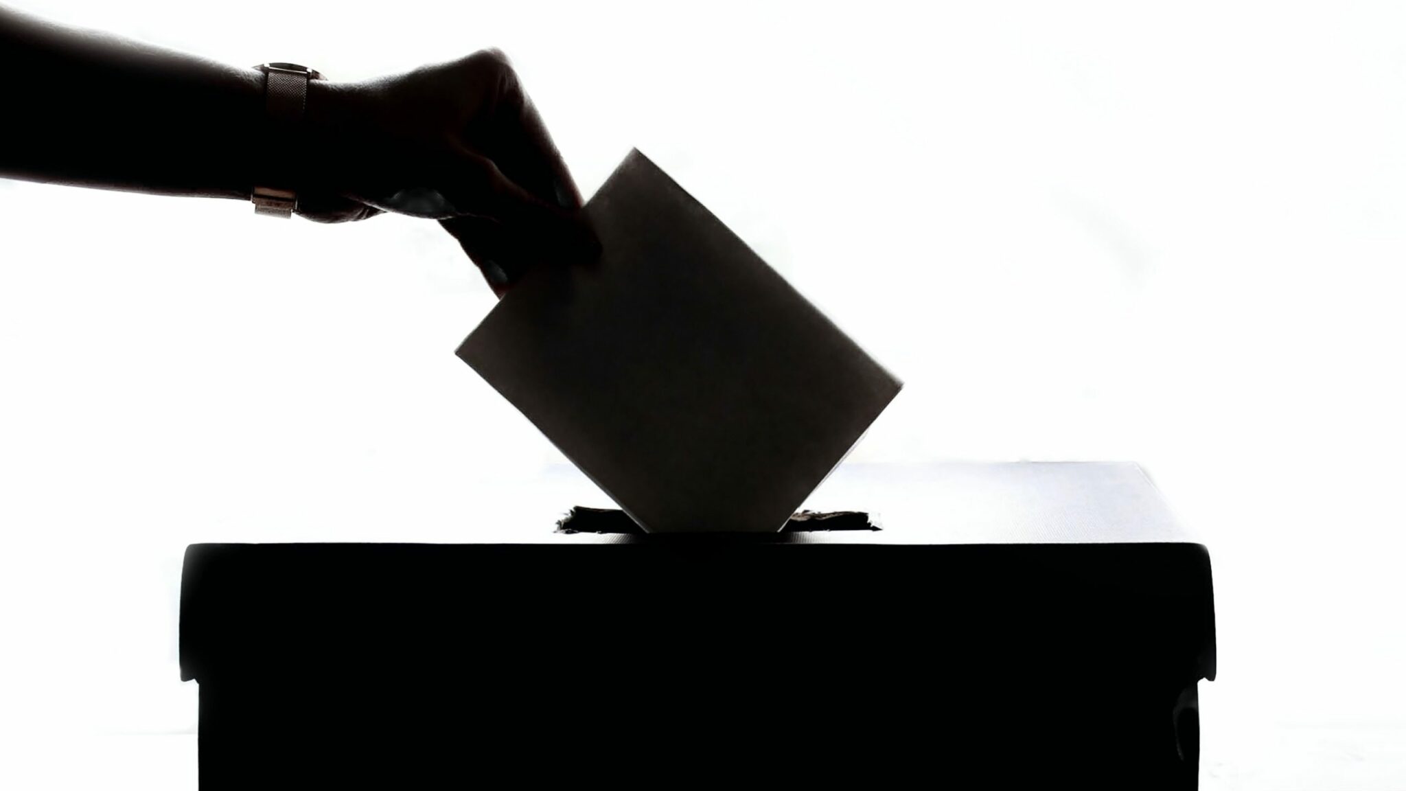 Voter