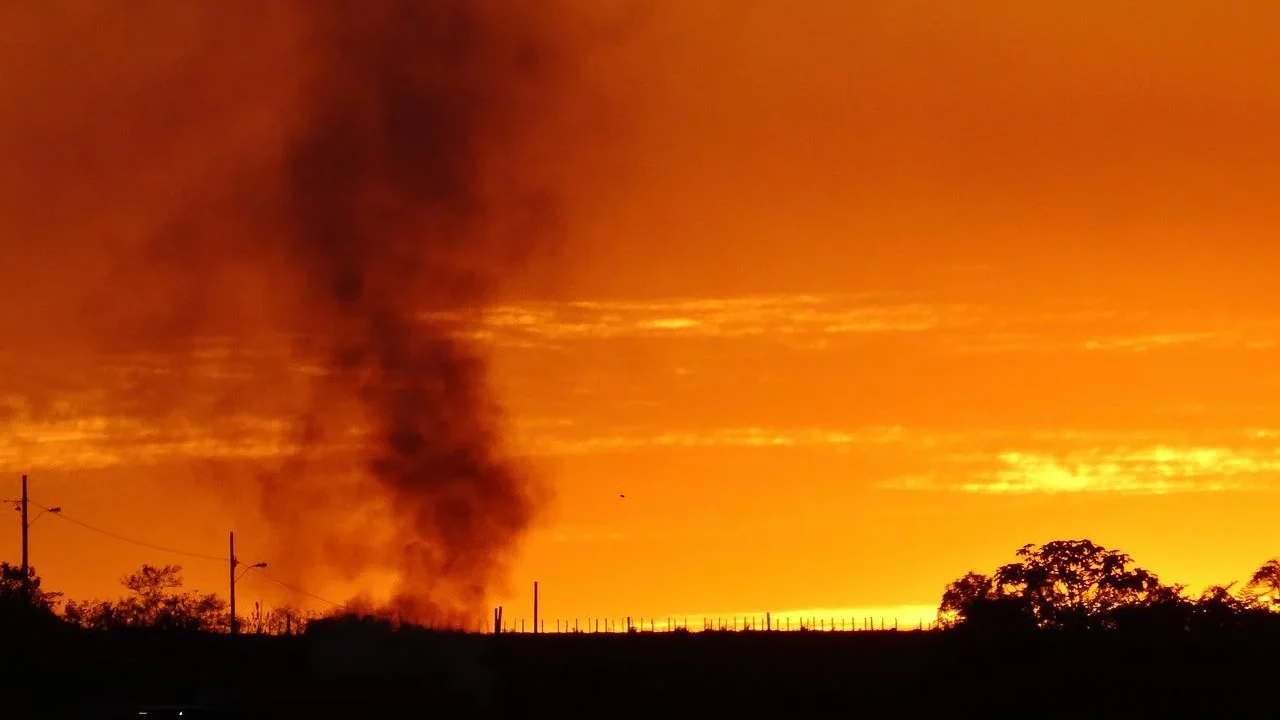 Incendies et canicule – « L’heure est à la planification écologique » : l’analyse de l’insoumise Catherine Couturier