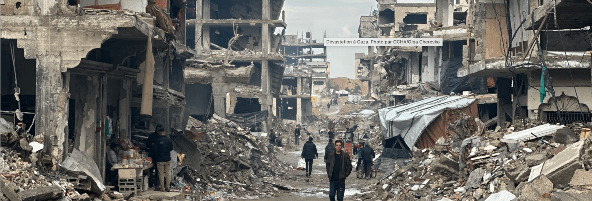 Palestine Gaza