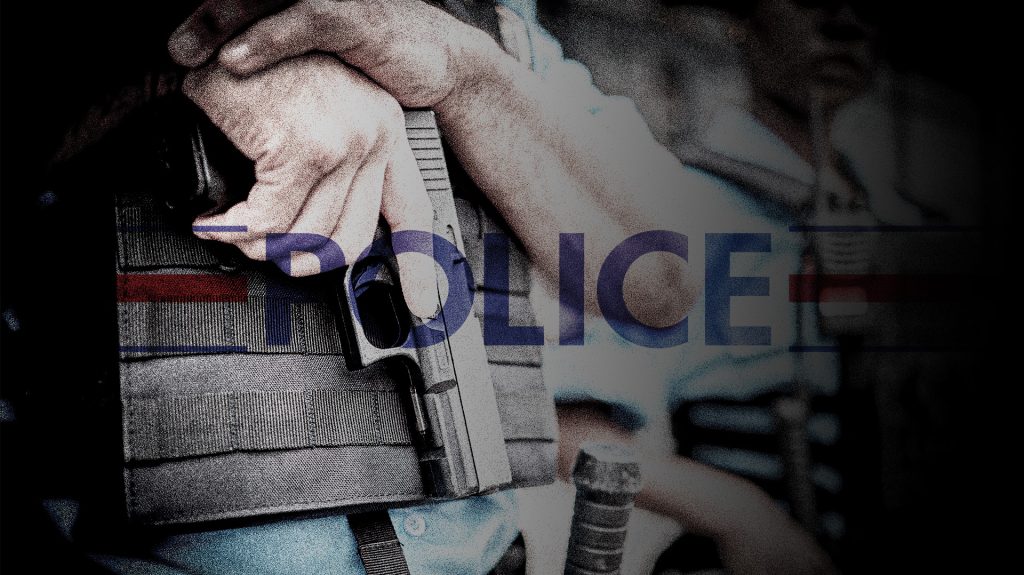 police permis de tuer LFI nunez