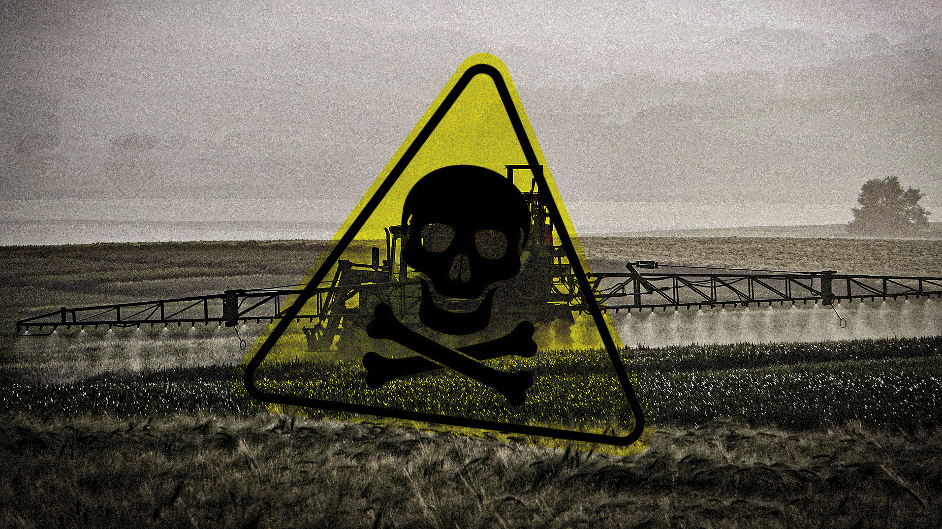 pesticides