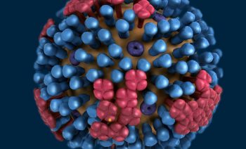 3d-graphical-representation-of-ultrastructure-and-is-not-specific-to-a-seasonal-avian-or-2009-h1n1-virus.jpg