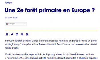 Screenshot_2020-06-22-Une-2e-for%C3%AAt-primaire-en-Europe-Le-Monde-en-Commun.png