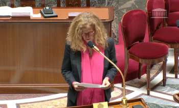 Nicole Belloubet lors du vote de la loi Avia (images Assemblée Nationale)